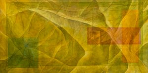 एवोल्यूशन, 2004